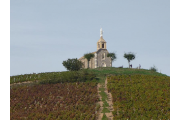 La Madone à l'automne OT Beaujolais Vignoble